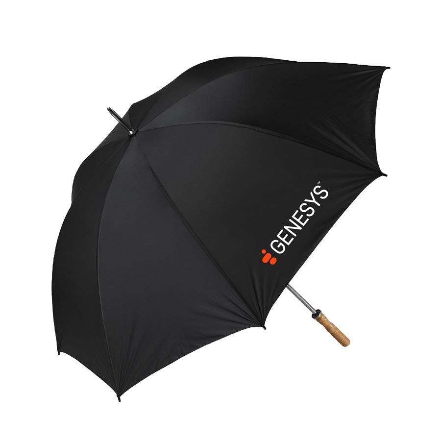 View Larger Image View Larger Image